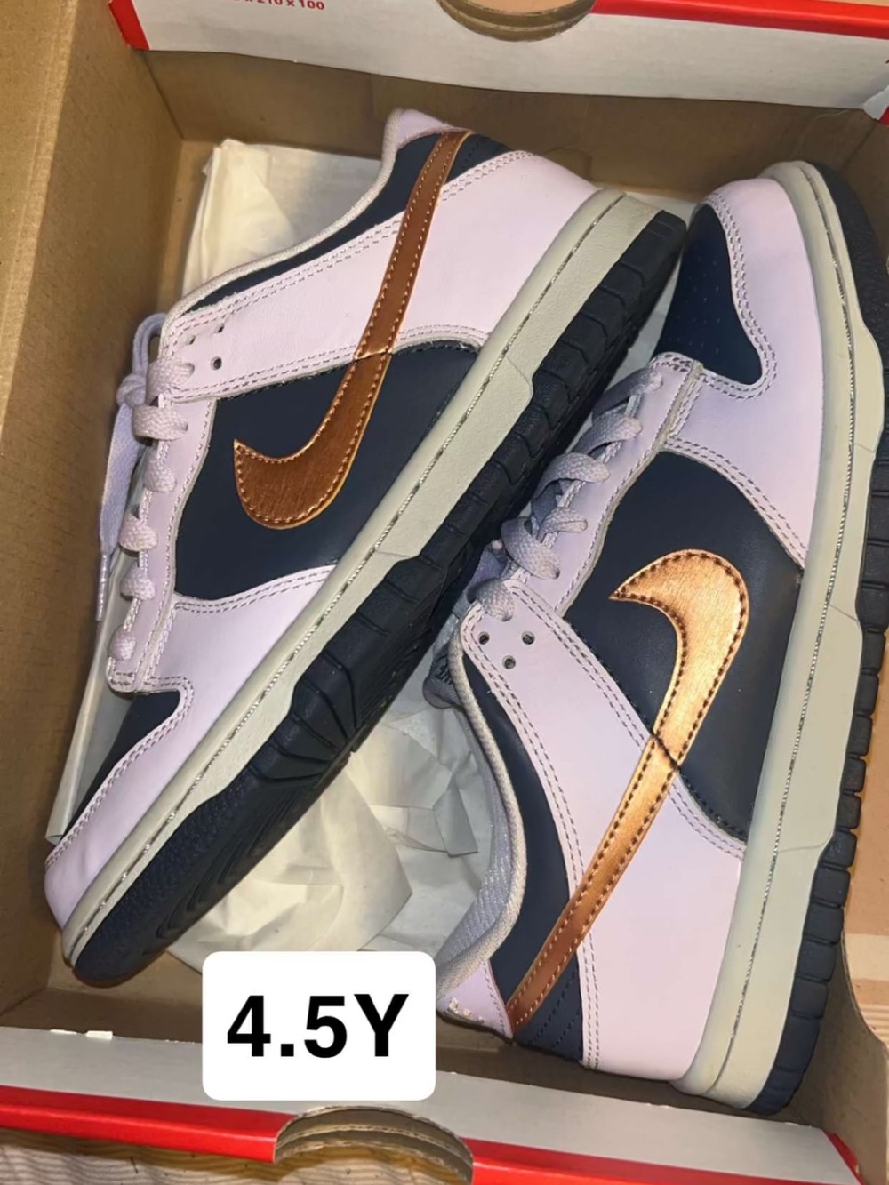 Nike boys GS dunks